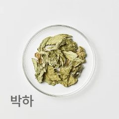 한약재 박하
